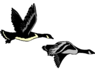 Sticker Custom Preview Image #016424 Animals Birds Birds8