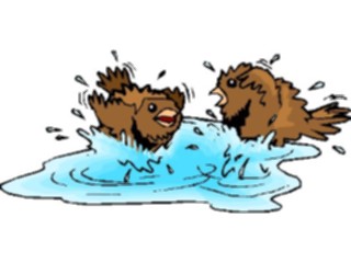 Sticker Custom Preview Image #016425 Animals Birds Birds Bathing