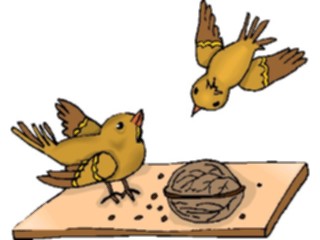 Sticker Custom Preview Image #016432 Animals Birds Birdswith Nut