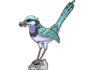 Sticker Custom Preview Image #016444 Animals Birds Bluejay4