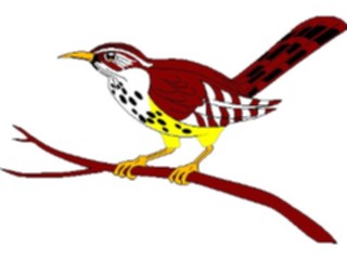 Sticker Custom Preview Image #016450 Animals Birds Cactus Wren