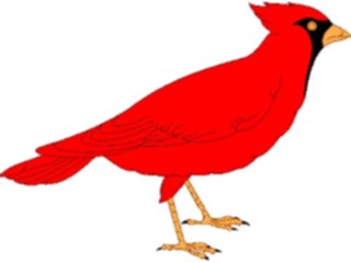 Sticker Custom Preview Image #016454 Animals Birds Cardinal4