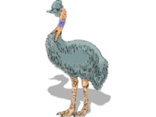 Sticker Custom Preview Image #016460 Animals Birds Cassowary2
