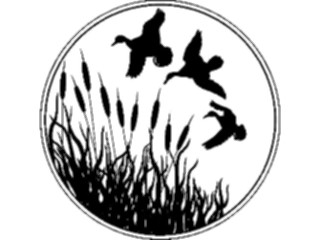 Sticker Custom Preview Image #016461 Animals Birds Cattails Ducks