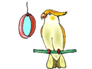 Sticker Custom Preview Image #016467 Animals Birds Cockateilwith Mirror