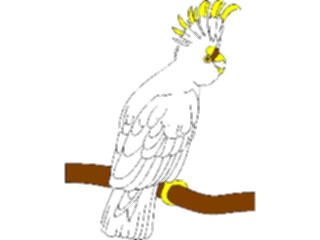 Sticker Custom Preview Image #016470 Animals Birds Cockatoo02