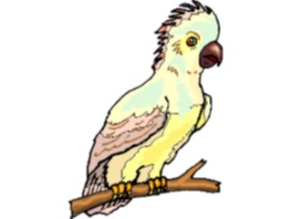 Sticker Custom Preview Image #016471 Animals Birds Cockatoo03
