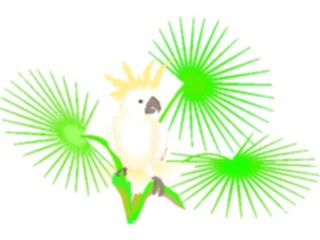 Sticker Custom Preview Image #016472 Animals Birds Cockatoo04