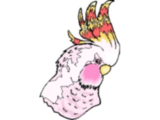 Sticker Custom Preview Image #016474 Animals Birds Cockatoo06