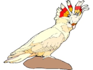 Sticker Custom Preview Image #016475 Animals Birds Cockatoo07