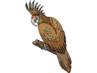 Sticker Custom Preview Image #016479 Animals Birds Cockatoo Palm