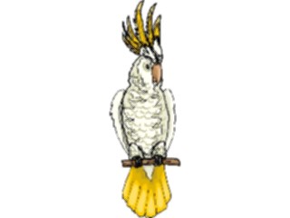 Sticker Custom Preview Image #016480 Animals Birds Cockatoo Sulfer Crested