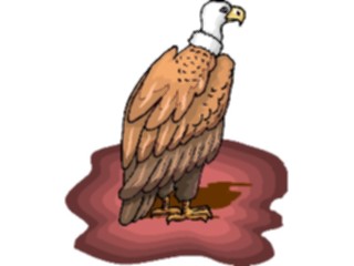 Sticker Custom Preview Image #016482 Animals Birds Condor2