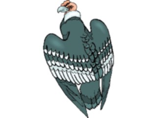 Sticker Custom Preview Image #016483 Animals Birds Condor Andean