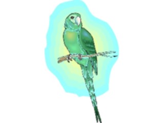 Sticker Custom Preview Image #016484 Animals Birds Conure1