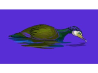 Sticker Custom Preview Image #016489 Animals Birds Cormorant2