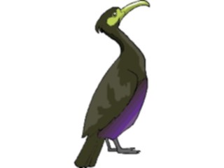 Sticker Custom Preview Image #016492 Animals Birds Cormorant5