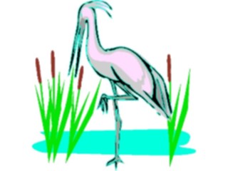 Sticker Custom Preview Image #016495 Animals Birds Crane03