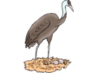 Sticker Custom Preview Image #016504 Animals Birds Crane12