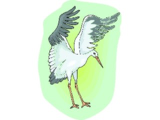 Sticker Custom Preview Image #016506 Animals Birds Crane14