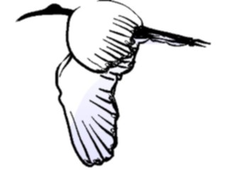Sticker Custom Preview Image #016512 Animals Birds Crane Flying