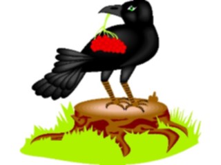 Sticker Custom Preview Image #016515 Animals Birds Crow1