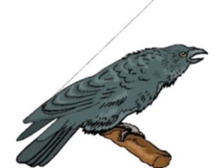 Sticker Custom Preview Image #016520 Animals Birds Crow6