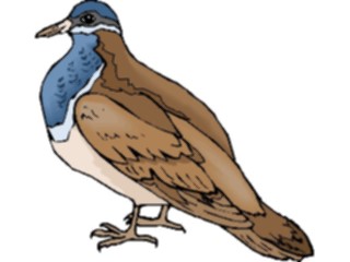 Sticker Custom Preview Image #016535 Animals Birds Dove07