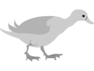 Sticker Custom Preview Image #016559 Animals Birds Duck02