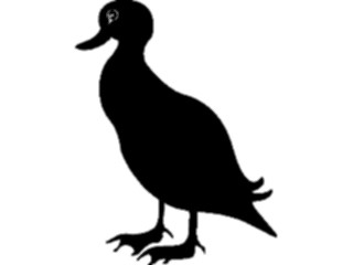 Sticker Custom Preview Image #016561 Animals Birds Duck04