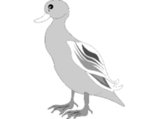 Sticker Custom Preview Image #016563 Animals Birds Duck06