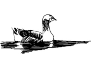 Sticker Custom Preview Image #016564 Animals Birds Duck07