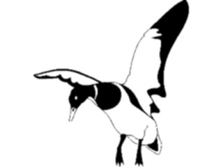 Sticker Custom Preview Image #016565 Animals Birds Duck08
