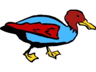 Sticker Custom Preview Image #016566 Animals Birds Duck09