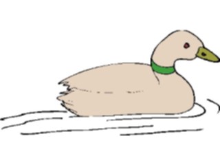 Sticker Custom Preview Image #016572 Animals Birds Duck15