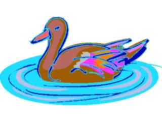 Sticker Custom Preview Image #016577 Animals Birds Duck20