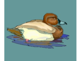Sticker Custom Preview Image #016584 Animals Birds Duck27