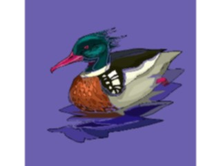 Sticker Custom Preview Image #016585 Animals Birds Duck28