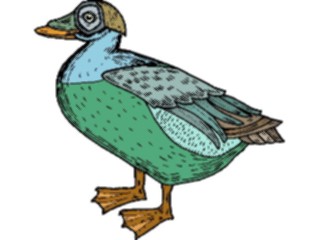 Sticker Custom Preview Image #016595 Animals Birds Duck38