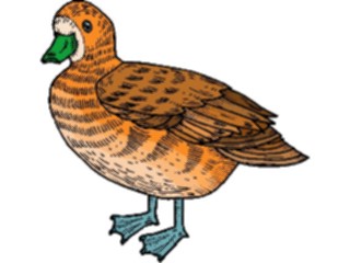 Sticker Custom Preview Image #016597 Animals Birds Duck40