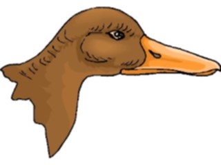 Sticker Custom Preview Image #016598 Animals Birds Duck41