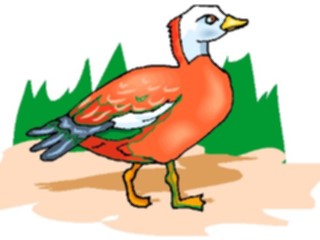 Sticker Custom Preview Image #016600 Animals Birds Duck43