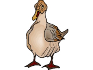 Sticker Custom Preview Image #016601 Animals Birds Duck44