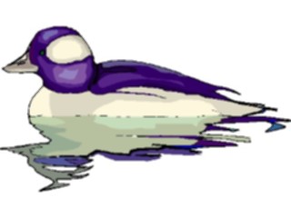 Sticker Custom Preview Image #016602 Animals Birds Duck45
