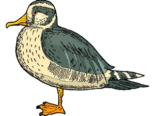 Sticker Custom Preview Image #016604 Animals Birds Duck47