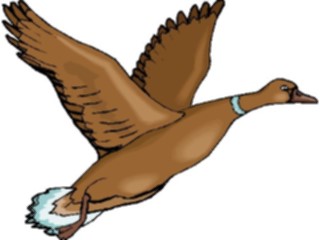 Sticker Custom Preview Image #016606 Animals Birds Duck49