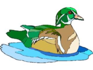 Sticker Custom Preview Image #016616 Animals Birds Duck59