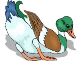 Sticker Custom Preview Image #016628 Animals Birds Duck71
