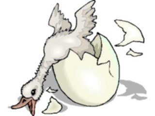 Sticker Custom Preview Image #016638 Animals Birds Duck Hatching2