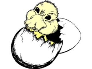 Sticker Custom Preview Image #016639 Animals Birds Duck Hatching3